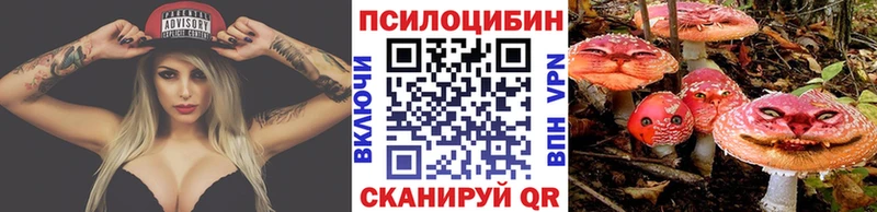 Галлюциногенные грибы Psilocybine cubensis  Луга 